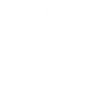 嶺井空手道場のロゴ