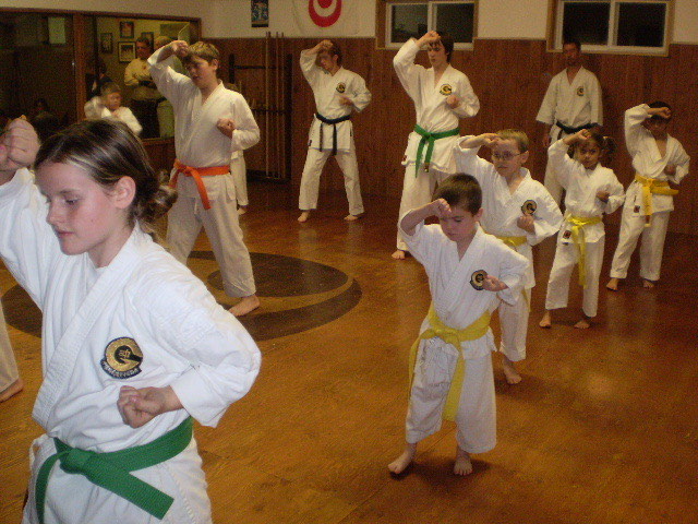 ポールさんの空手道場 Visit to Paul san's dojo in Bracebridge — 写真 21