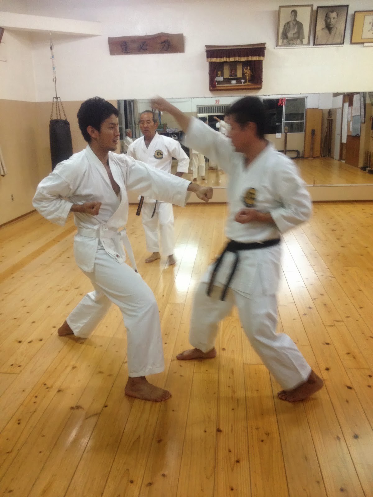 上段突きの稽古 Jodantutsuki-Upper strik… — 写真 1